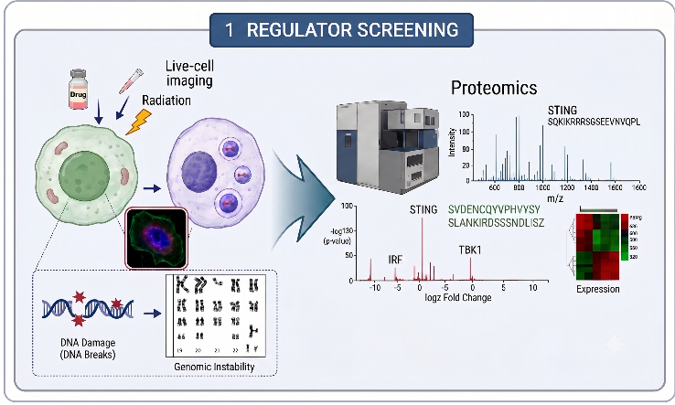 Regulator Screening